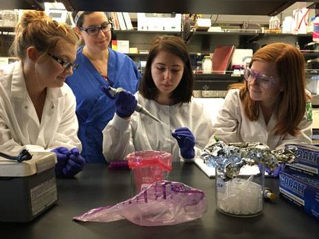 Undergraduate Student Research at GVSU